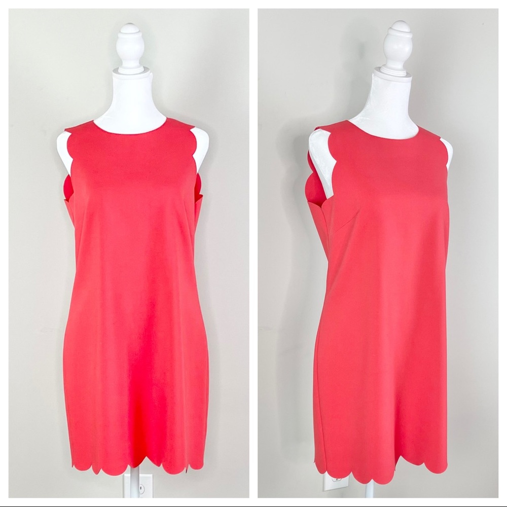 Scalloped Dress